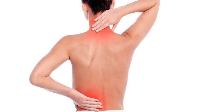 hrbtenica v osteohondrozi